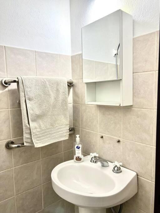 Loft Quinta Seccion Apartment *
