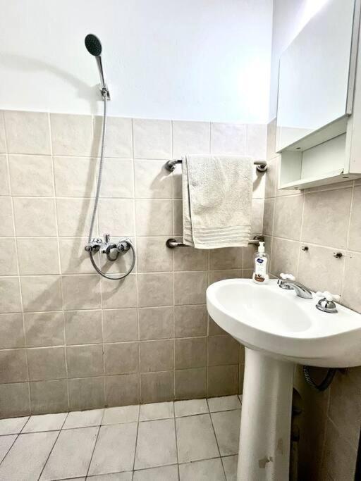 Loft Quinta Seccion Apartment Mendoza